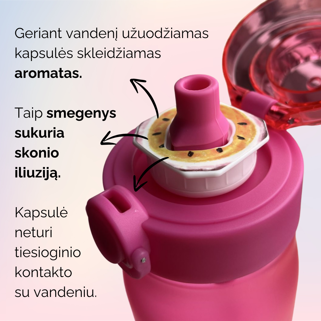 gertuve su skoniu